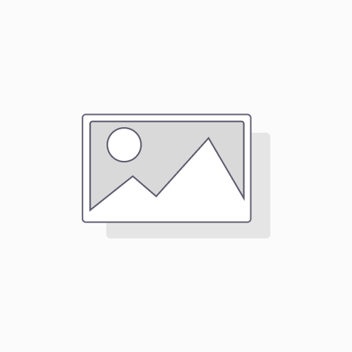 Ecourse Accounting (Basic)